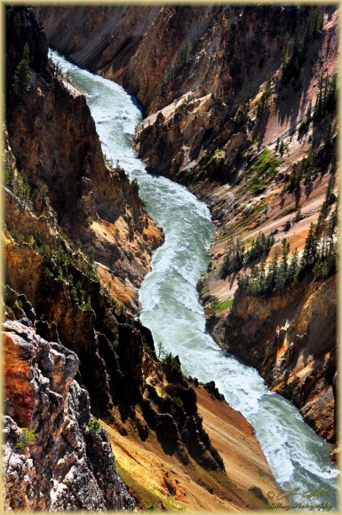 Grand Canyon of the Yellowstone