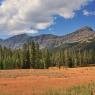 Ice Box Canyon Area