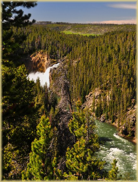 Upperfalls of the Yellowstone