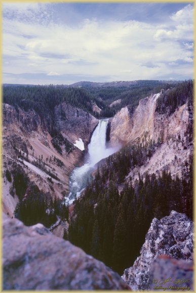 Lower Yellowstone Falls