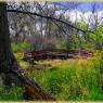 Riverside Park Bridge