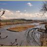 Yellowstone River From River Road