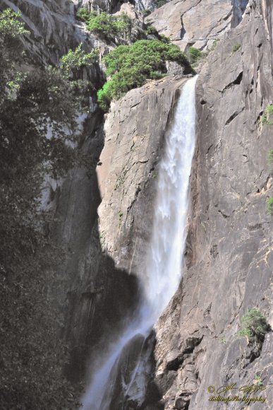 Lower Yosemite Falls