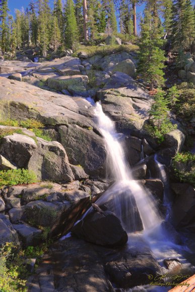 Tuolumne Creek