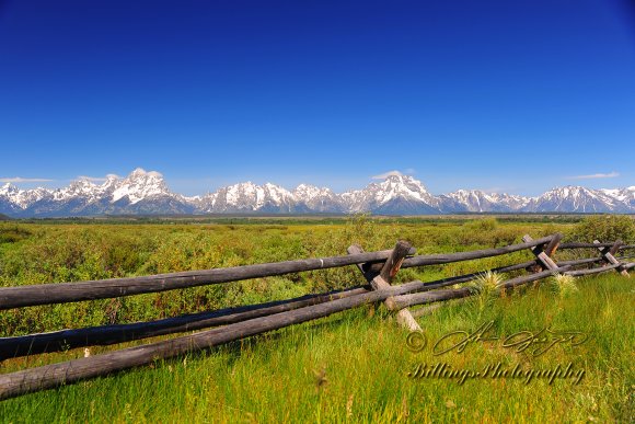 Teton Wide Fence